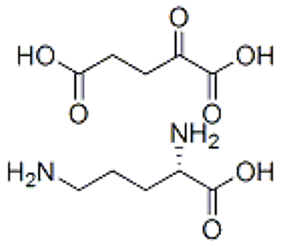 L-ornitina 2-oxoglutarato