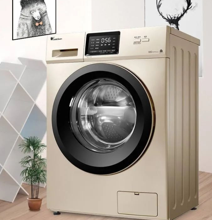 Hepimizin sahip olduğu çamaşır makinelerinde ne tür motorlar kullanılıyor?