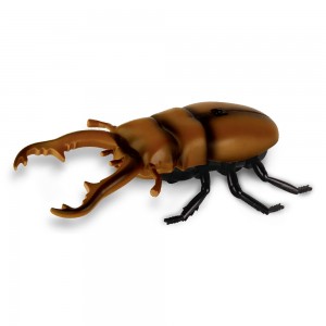 hege simulaasje edukatyf boartersguod ynfraread elektroanyske rc beetle ynsekten boartersguod