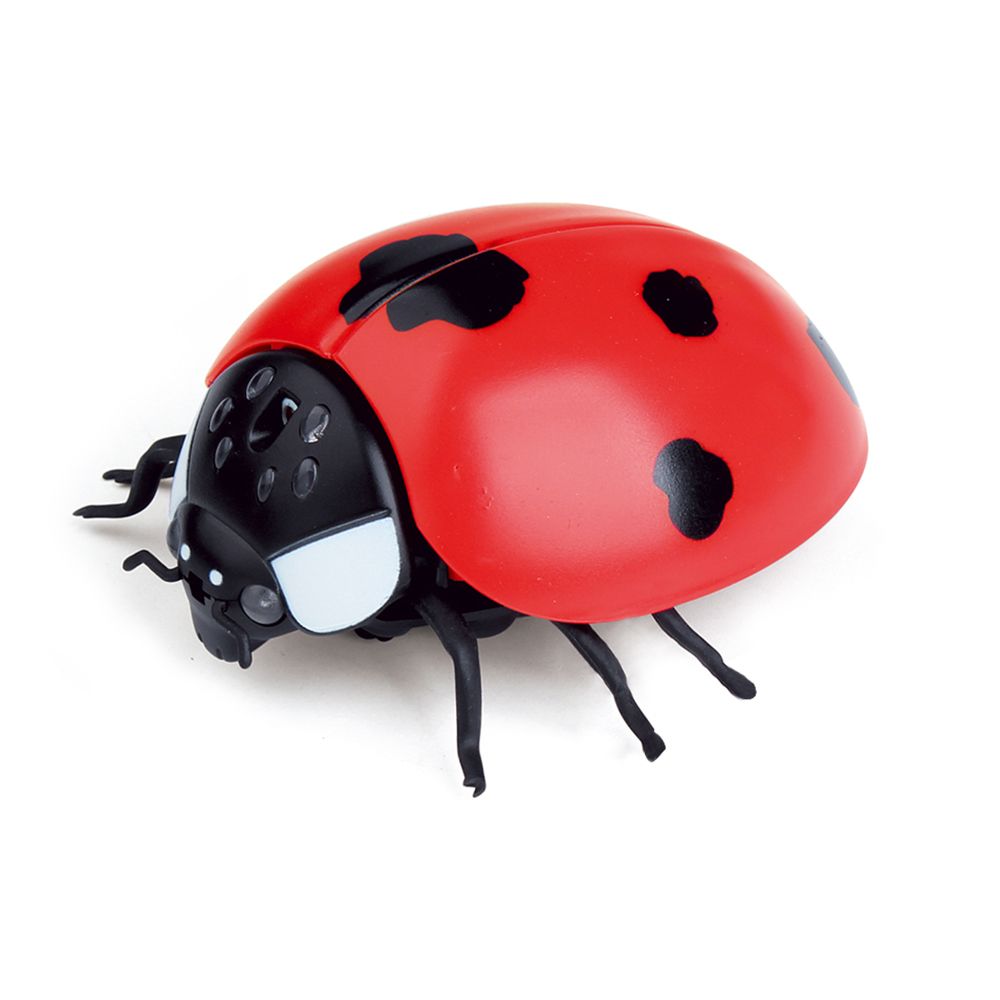 گرم وڪرو r/c جانورن جون رانديڪا insect infrared rc ladybug ڪارخانو