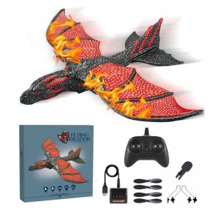 2CH Dragon & Eagle Design Foam RC Plane ຂາຍສົ່ງຈາກຈີນ-Xinfei Toys