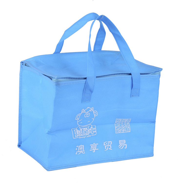 Manufacturer wholesale blue heavy duty insulated fish non woven cooler bags Featured Image
