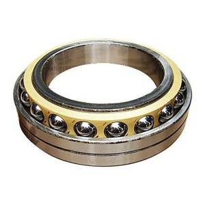 OEM/ODM Supplier China Single Row Four Point Contact Ball Slewing Bearing