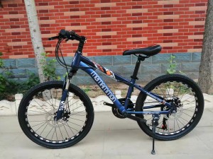 XX-SD-010,  22,22,24 inch mountain bike / mountain bike /mountain bike