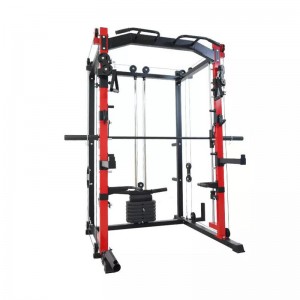 Multi Function Gym Equipment Squat Rack Longmen Frame