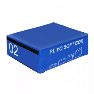 စိတ်ကြိုက်လုပ်ထားတဲ့ PYLO Soft Box ပါ။