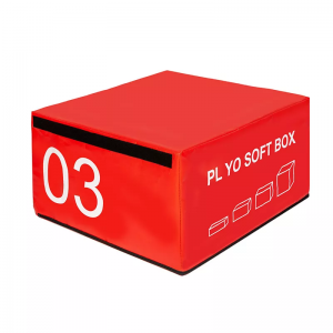 စိတ်ကြိုက်လုပ်ထားတဲ့ PYLO Soft Box ပါ။