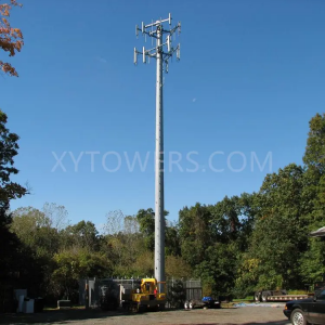 Free Standing Telecom Tubular Monopole Communication Pole