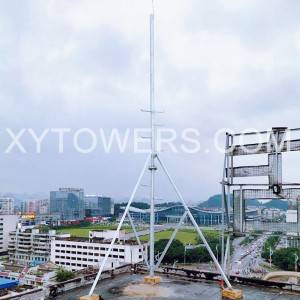 Ķīna Jauns produkts Megatro Cell Site Roof Top Tower