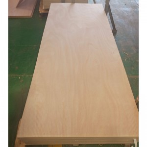 OSTIUM plywood supellectilem ac ianuam