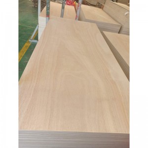 OSTIUM plywood supellectilem ac ianuam