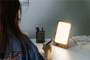 Lâmpada de energia de terapia de luz LED de alta qualidade