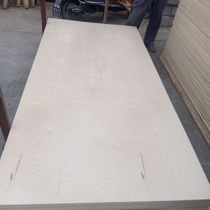 Full birch veneer furniture board multilayer veneer CARB certified craft plywood