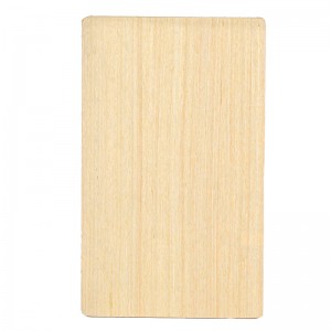 China Cheap Price Fire-Resistance Plywood - Fire Resistance Plywood For Baby Furniture And Crafts – YAYOU