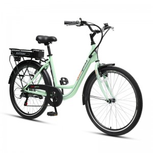 Electric bike for adult – EB102