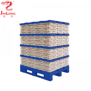Високоякісне транспортне пакувальне обладнання для шарових яєць бренду Jinlong стабілізує та захищає лоток для яєць/ET01,ET02