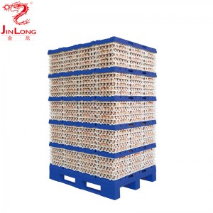 Опрема за пакување за транспорт на јајца од брендот Jinlong со висок квалитет и го стабилизира и заштитува садот за јајца/ET01,ET02
