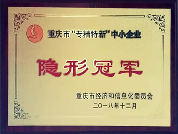Kleng a mëttelgrouss Entreprisen zu Chongqing verstoppen "Invisible Champions"