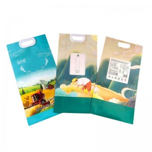 Bolsas de arroz de nailon vacías con impresión personalizada, bolsa de embalaje de plástico para almacenamiento de arroz con asa, fabricante
