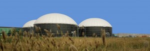 Factory wholesale Fire Protection Tank - YHR biogas holder roof with double membrane biogas digester use – YHR