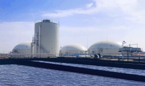 Manufactur standard Fire Storage Tanks - YHR biogas holder roof with double membrane  – YHR