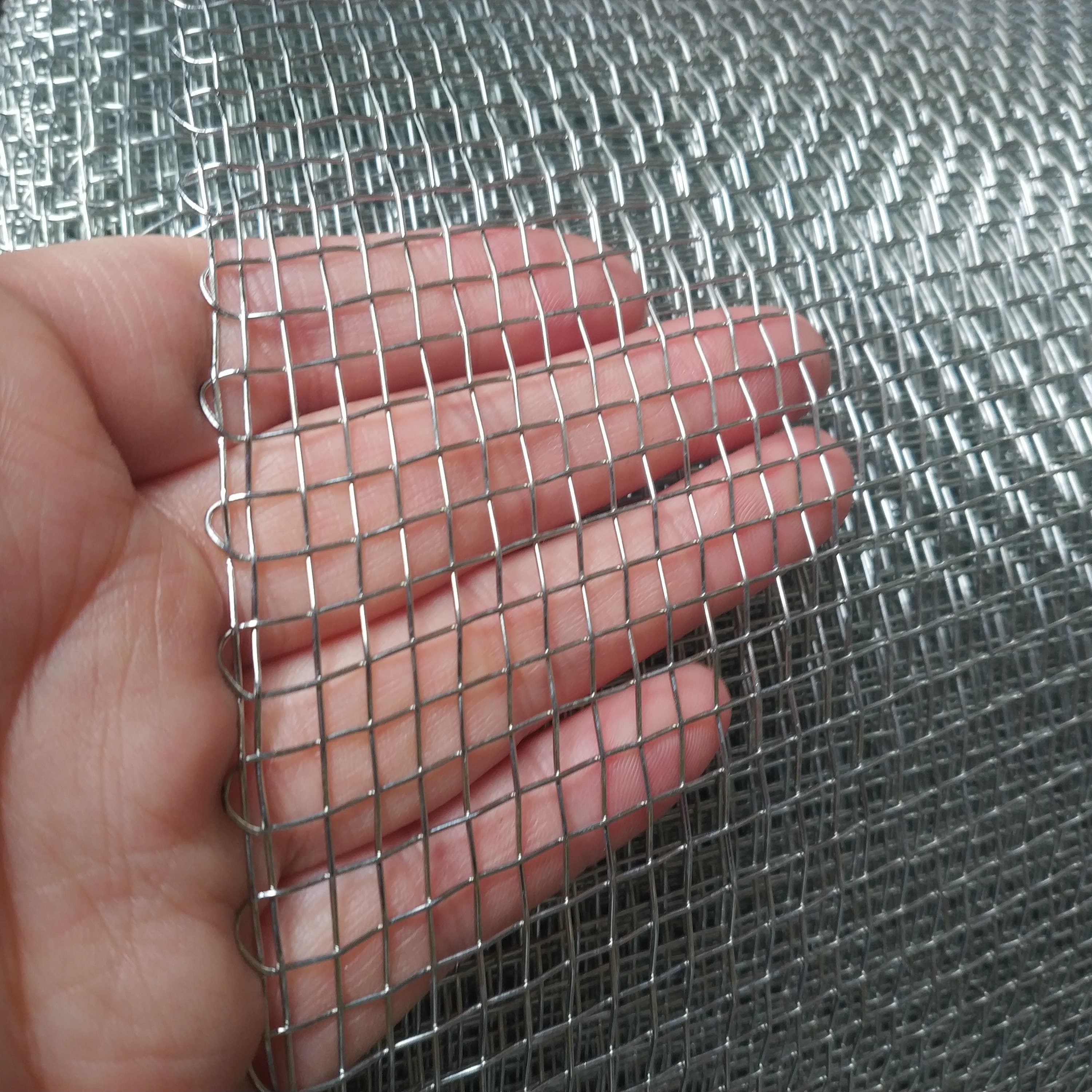galvanized square mesh 12 * 12mesh