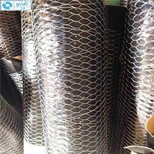 Mga Factory Outlet sa China Electro Galvanized Chicken Wire Mesh