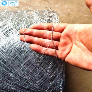 Mga Factory Outlet sa China Electro Galvanized Chicken Wire Mesh
