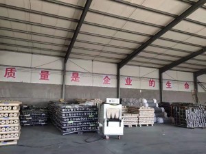 Daljet e fabrikës Kina Rrjetë teli pule me elektro galvanizim