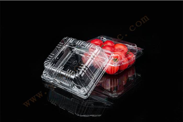 Disposable Small Plastic 125G Fruit Clamshell Packaging Container