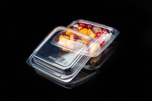 GLD-E01（transparent） transparent square fruit cut salad Platter/disposable Salad Container