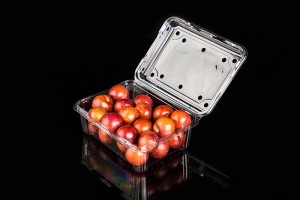 Packaging container of disposable fruit/Disposable Fruit Packaging