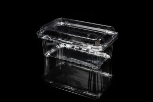 400G GLD-400M Disposable clear blister plastic container with hinged lid 400m/Plastic Fruit Container