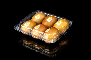 6 Count GLD-1916-6kiwi Disposable blister plastic kiwi fruit boxes
