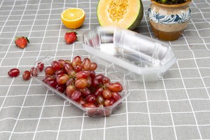 GLD-TP23-13 New disposable pet transparent color plastic fruit and vegetable boat type tray mango packing box/thermoformed packaging trays