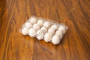 15 count plastic egg containers GLD-00C15 /plastic egg tray