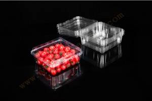 850G GLD-850G PET clamshell container