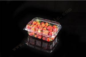 1000G GLD-1000A2 Strawberry clamshell packaging