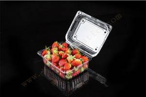 750G GLD-750 Strawberry packaging companies