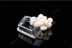 500G GLD-1813H4 Thermoformed trays for food packaging/Disposable Plastic Food Trays