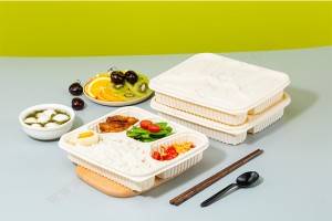 GLD-M428E Eco friendly food containers/biodegradable take out container
