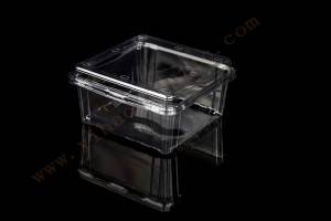 1000g GLD-1000G OEM customized Frozen Lock Fresh fruit Packaging/Plastic Fruit Container