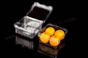 1000g GLD-1000G OEM customized Frozen Lock Fresh fruit Packaging/Plastic Fruit Container