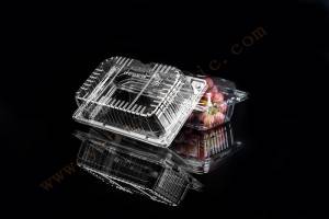 1500g GLD-A8 OEM customized Frozen Lock Fresh fruit Packaging/Fruit Packaging Container