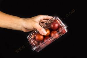 500g GLD-500M OEM customized Frozen Lock Fresh fruit Packaging/Disposable Fruit Clamshell