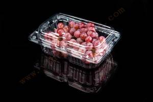 1500g GLD-A8 OEM customized Frozen Lock Fresh fruit Packaging/Fruit Packaging Container