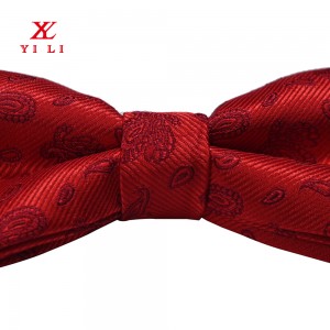 L-Aħjar Bejgħ Tie Manifattur Custom Minsuġa Polyester Paisley Bow Tie