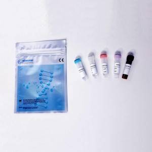 Kit de détection d'acide ribonucléique du nouveau coronavirus (2019-nCoV) (PCR en temps réel - Test de sonde fluorescente)