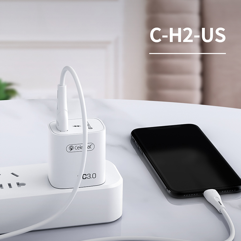 ქარხნული ცხელი იყიდება Quick Charge 3.0 18W Celebrat C-H2-US მობილური ტელეფონის დამტენი