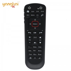 Wholesale Lg Tv Remote Control  - DISH  Google Assistant Voice Control Remote 52.0 52.1 – Yangkai